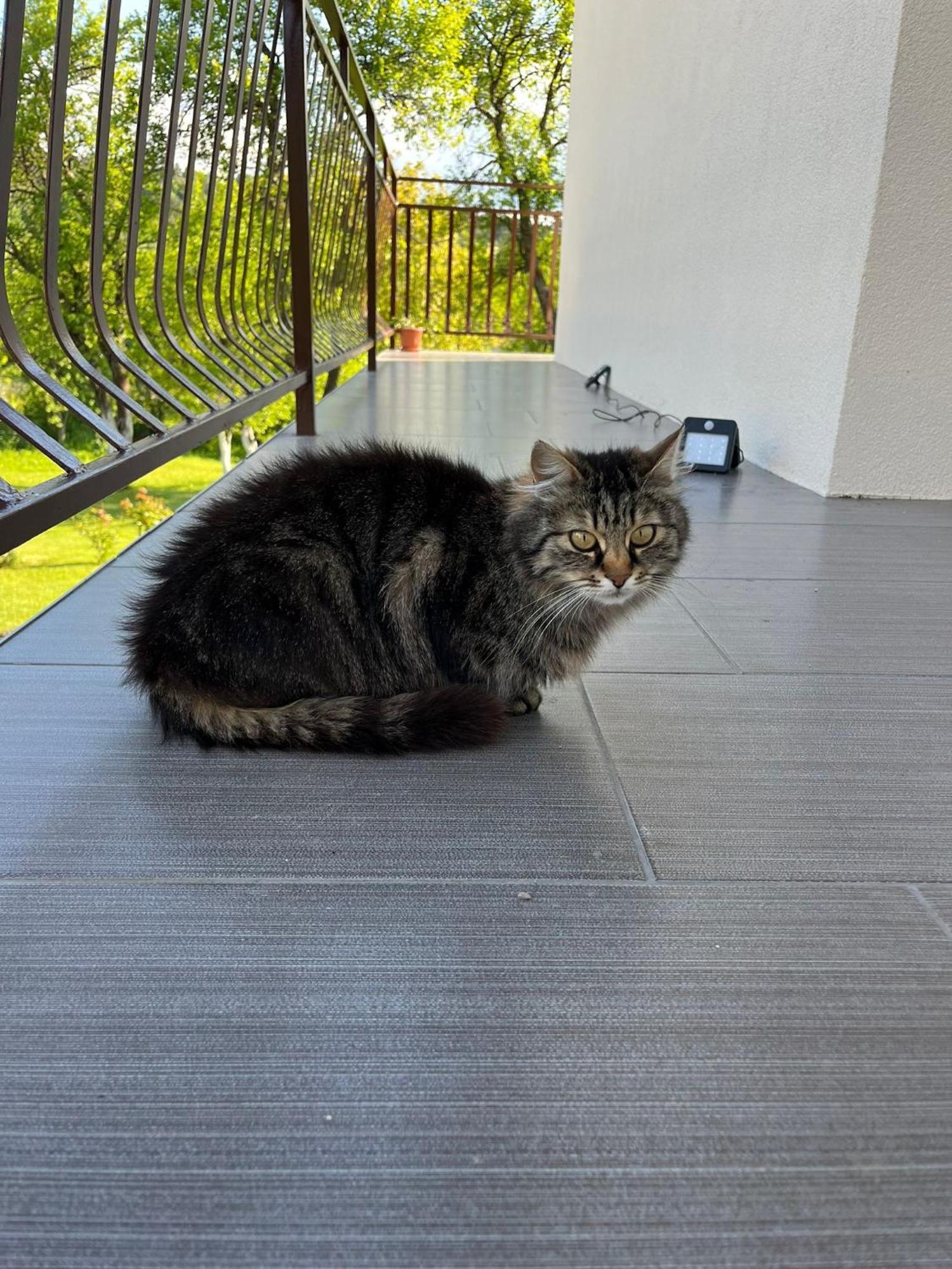 Saborsko Apartment Anna מראה חיצוני תמונה